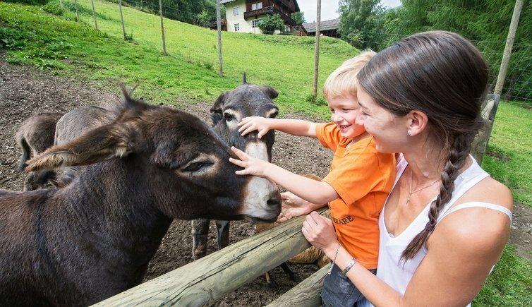 Assling Wildlife Park Adventure World