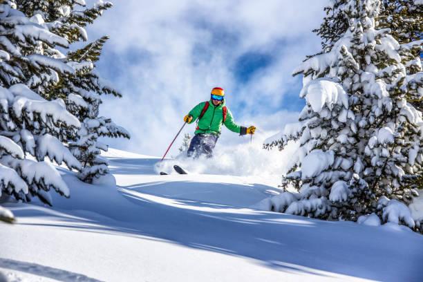 Young male skier skiing in fresh snow through the trees in austrian ski resort